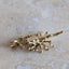 Scorpion Charm