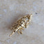 Scorpion Charm