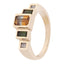 Steppe Ring No. 46